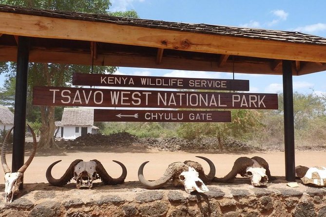 Private 3 Day Tsavo East Safari from Mombasa - Day 3 Early Game Drive, Lodge Breakfast, and Return to Mombasa