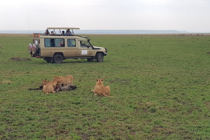 Private 5 Day Maasai Mara with Lake Nakuru and Lake Naivasha Tour - The Mara River Angle: Where Drama Happens in One Region