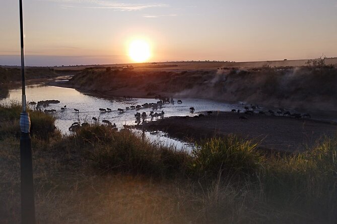 Private 5 Day Maasai Mara with Lake Nakuru and Lake Naivasha Tour - Price and Value: What $1,860 Buys on This Private Route