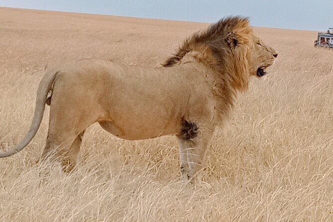Private 6-Days Tour Exploring in Amboseli & Nakuru National Park - Key highlights worth getting excited about