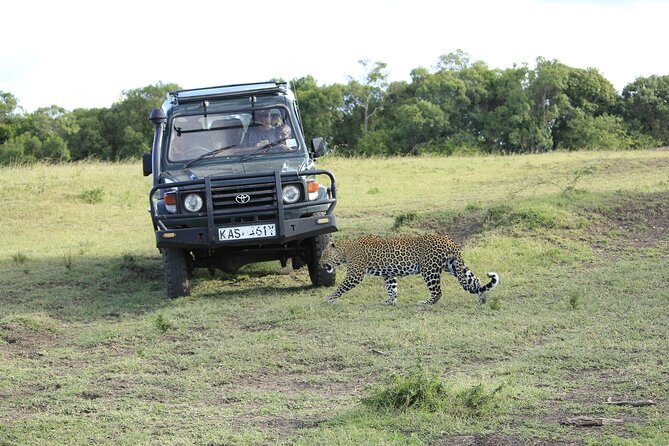 Private 7 Days Kenya Safari Amboseli, Naivasha, Nakuru, Mara - Nairobi on Day 7: A Simple End with Carnivore Lunch