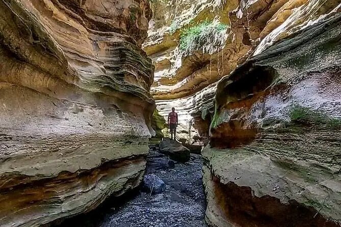 Private Day tour to Hell's Gate National Park and Lake Naivasha - Price and value: what $115 covers, and what to budget for