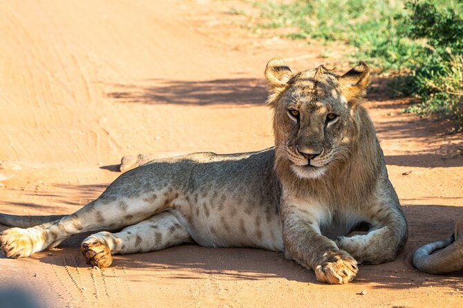 Private full day tour to Tsavo East National Park - Key things to know before you go to Tsavo East