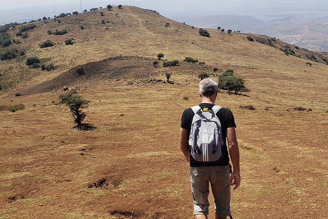 Private Half Day Hike to Ngong Hills from Nairobi - Your Guide on Ngong Hills: Pace, Nature, and Getting the Most Out of 5 Hours