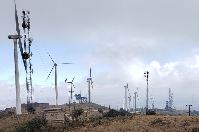 Private Half Day Hike to Ngong Hills from Nairobi - Pickup From Nairobi and the 9:30 am Rhythm