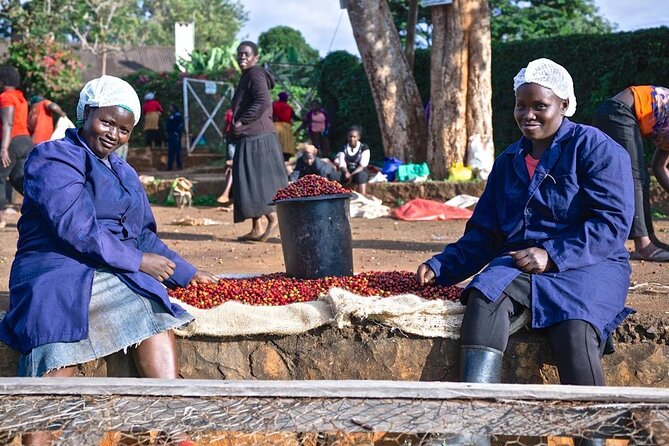 Private Half-Day Tour in Fairview Coffee Farm from Nairobi - Visitor area briefing at Fairview Coffee Estate
