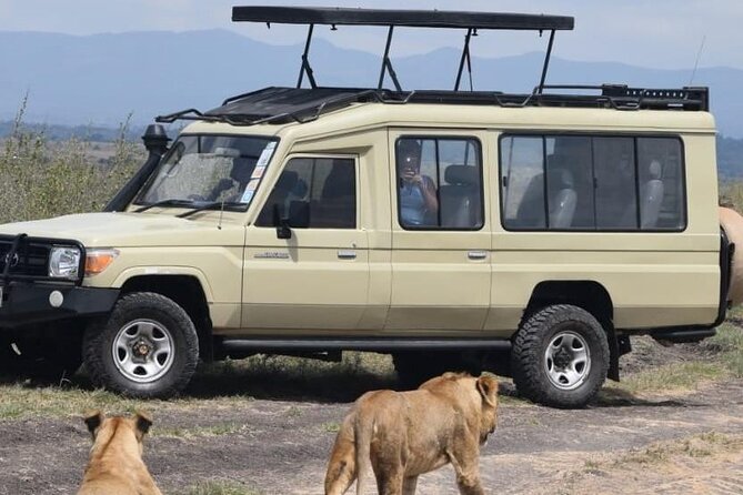 Private Half Day Tour in Nairobi National Park Safari - Why Nairobi National Park works for a quick safari