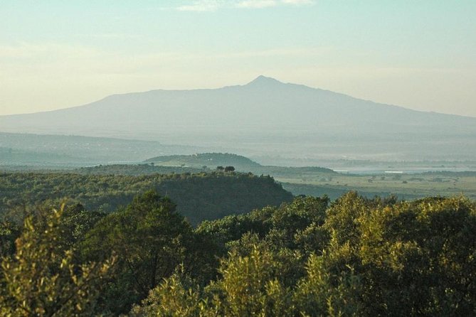 Private Hiking Day Trip to Mt. Longonot from Nairobi - Price and what you actually get for $130 per person