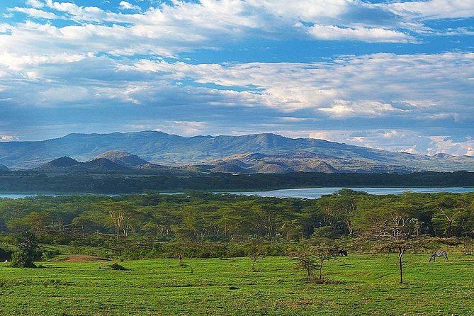 Private Layover Tour to Hells Gate National park with Optional Boat Ride - Optional Lake Naivasha cruise for birds and hippos