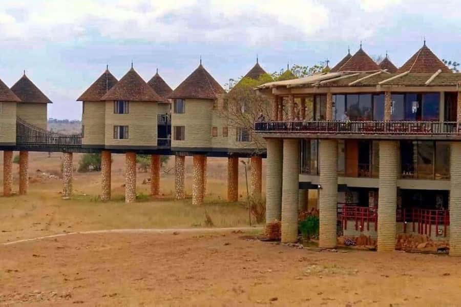 PRIVATE OVERNIGHT SALTLICK SAFARI FROM MOMBASA OR DIANI - Key highlights at a glance