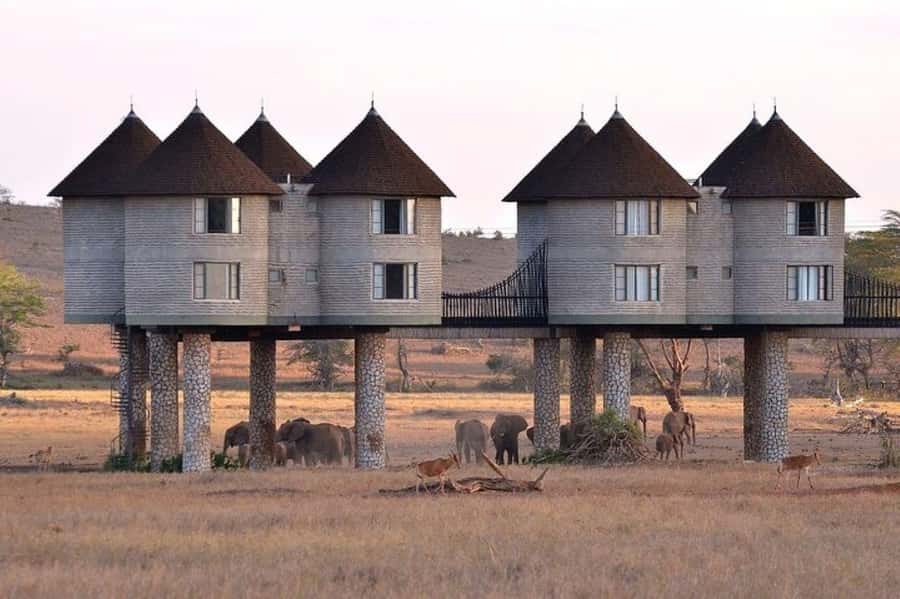 PRIVATE OVERNIGHT SALTLICK SAFARI FROM MOMBASA OR DIANI - Day 1: Early pickup, game drive on the way, then sunset hunting
