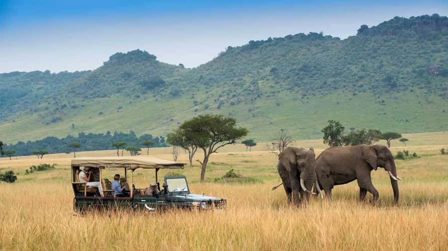 Private Safari Day-Tour in Amboseli National Park - Getting in and out of the park, plus the big savanna approach