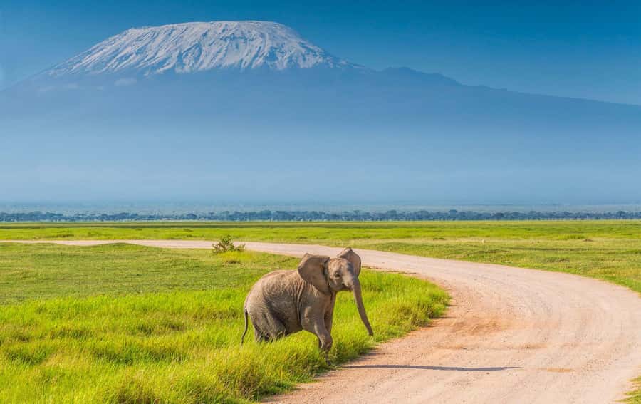 Private Tour to Amboseli National Park - Key Things That Make This Private Amboseli Tour Worth It