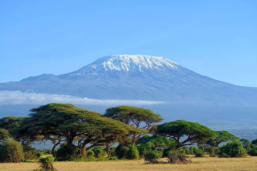 Private Tour to Amboseli National Park - The Amboseli Game Viewing Drive: What You’re Actually Looking For