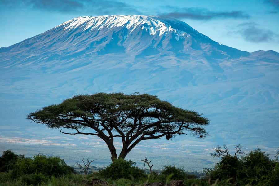 Private Tour to Amboseli National Park - Inside the Safari Vehicle: Pop-Up Roof Comfort for Real Wildlife Scanning