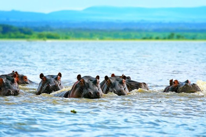 Private Tour to Mount Longonot and Optional Boat Ride on Lake Naivasha - Entering The Great Rift Valley, early and on purpose