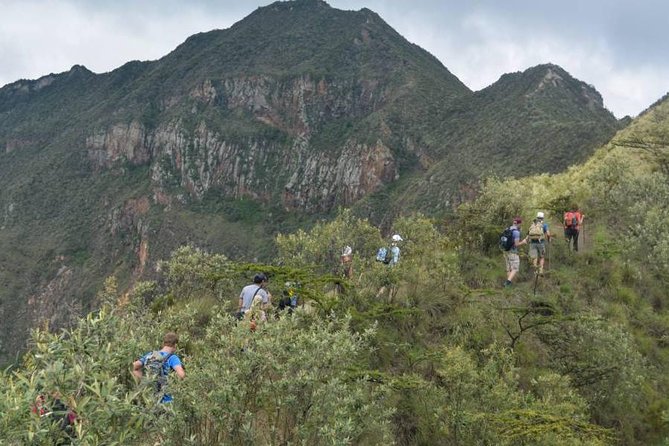 Private Tour to Mount Longonot and Optional Boat Ride on Lake Naivasha - Price and logistics: what the $125 really covers