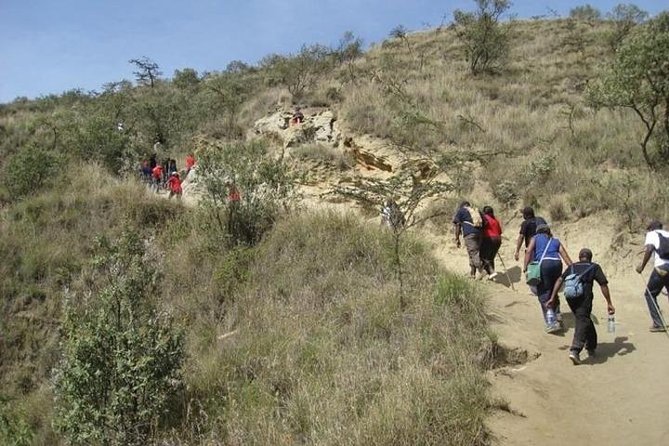 Private Tour to Mount Longonot and Optional Boat Ride on Lake Naivasha - Who this private Mount Longonot and Naivasha day suits best