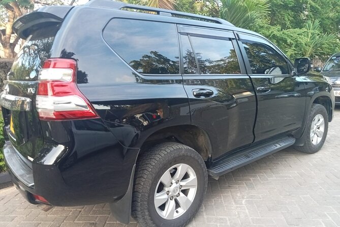 Private Transfer from Mombasa - What the Trip Feels Like, From Short Hops to Longer Transfers