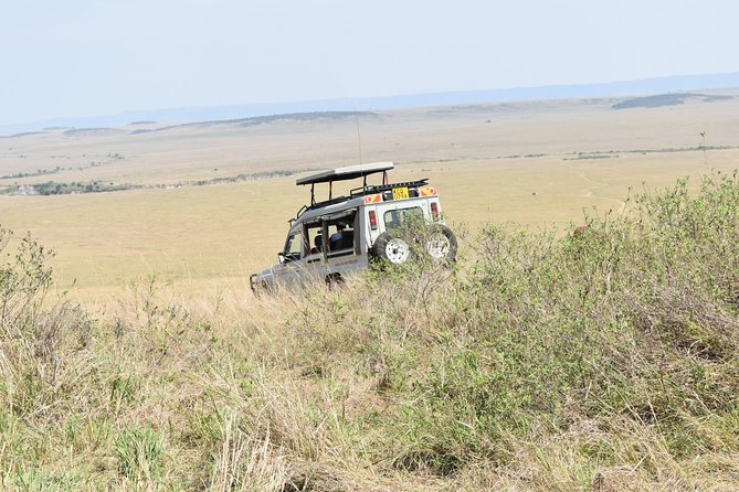 Private Transfer from Nairobi Airport or city To Maasai Mara By Road - Price and value: what $135 per person buys you