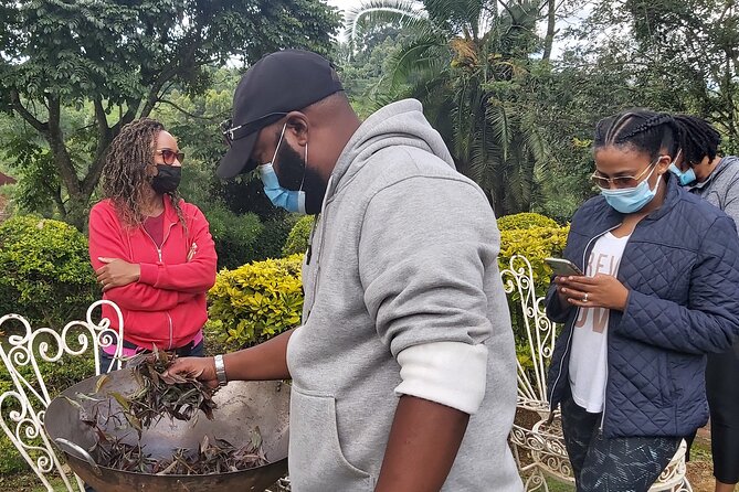 Purple Tea Farm Tour from Nairobi City - Specialty Tea Tasting - The nature walk to the waterfall, with a chance for a dip
