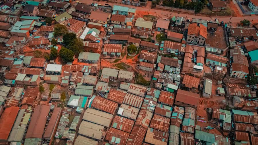Rent A Local - Key things to know before you go
