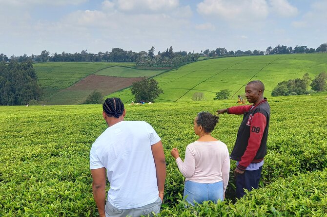Riara tea farm tour with lunch and tea tasting from Nairobi - Key Highlights You’ll Actually Feel