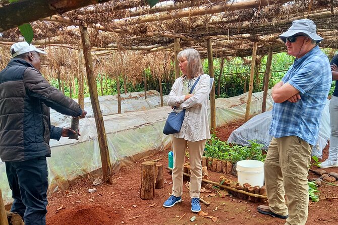 Riara tea farm tour with lunch and tea tasting from Nairobi - Nairobi to Limuru: How the Drive Sets the Tone