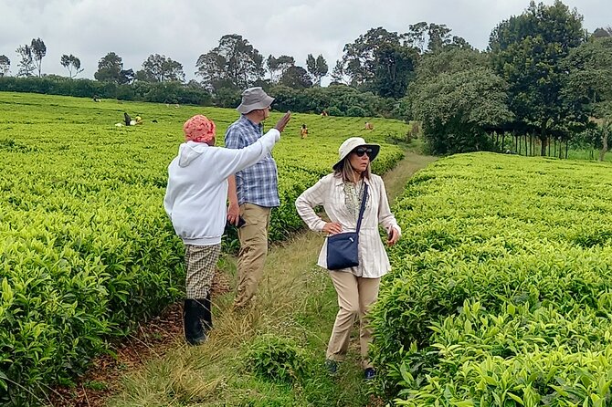 Riara tea farm tour with lunch and tea tasting from Nairobi - Lunch on the Farm: Barbecue, Plus Vegan and Vegetarian Options