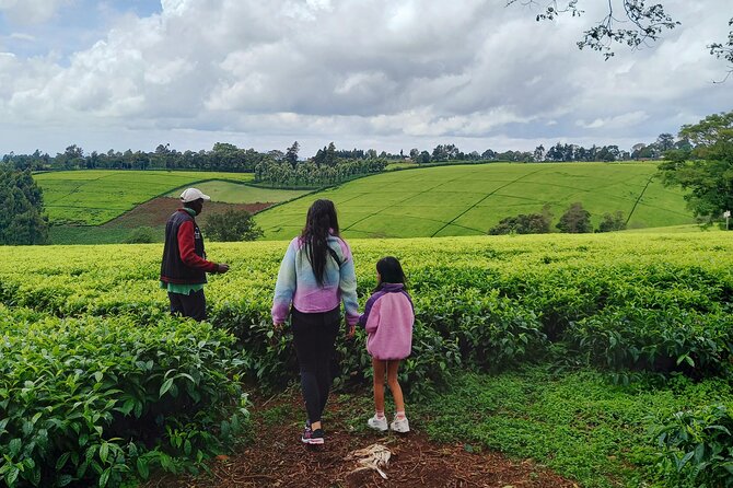Riara tea farm tour with lunch and tea tasting from Nairobi - Price and Value: Is $150 a Fair Deal From Nairobi?