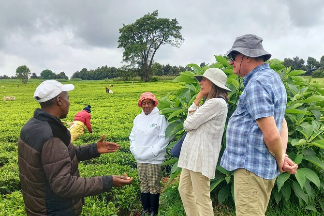 Riara tea farm tour with lunch and tea tasting from Nairobi - Nairobi National Museum and the City Stops You’ll See from the Road