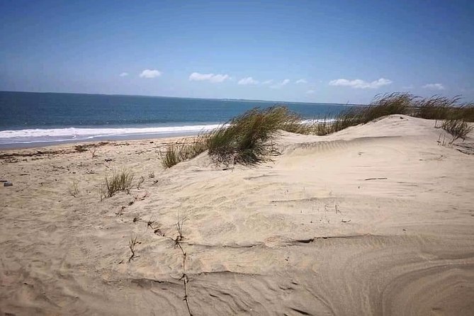 ROBINSON ISLAND/MARAFA HELL's KITCHEN - What to Bring (So the Day Feels Easy)