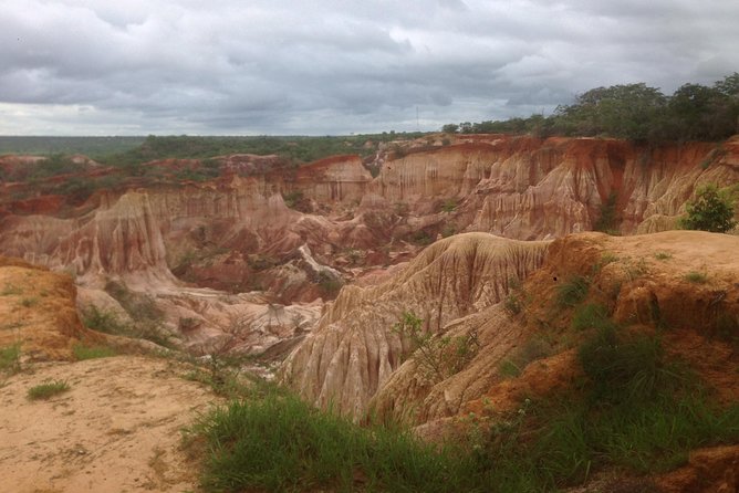 ROBINSON ISLAND/MARAFA HELL's KITCHEN - Malindi Market and Wood Carving: The Perfect Start