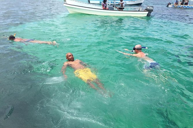 Safari blue - Watamu National Marine Park snorkeling: where the day gets its color