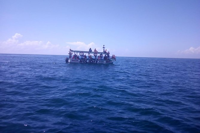 Safari blue - The 8:00 am start: simple logistics, real timing