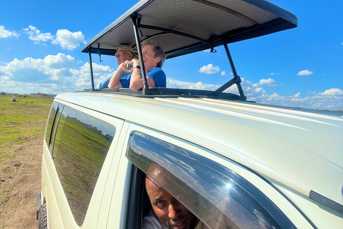 Safari In Nairobi Kenya National Park Half day Tour - Price and value: $85 per person in real-world terms
