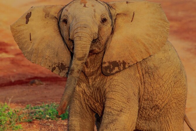 Safari in Tsavo and Amboseli for 5 Days and 4 Nights - Getting from Nairobi to Tsavo East without wasting your day