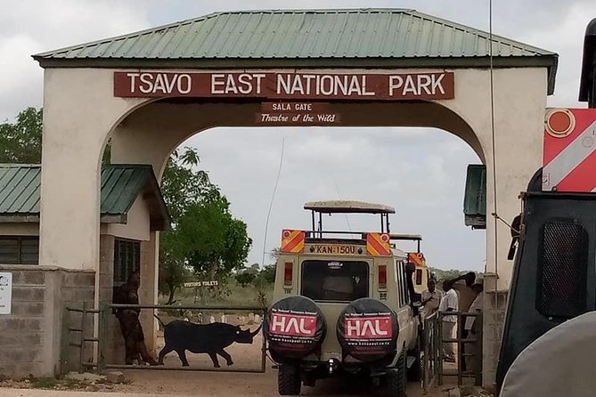 Safari Kenya with Patrick - The night safari in Tsavo East is the real wow