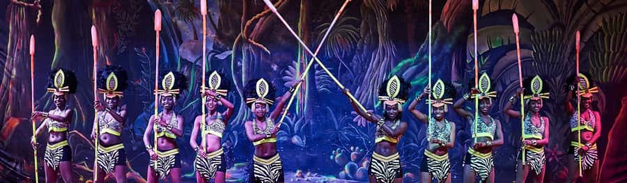 Safari Park Hotel Show & Dinner Experience In Nairobi Tour - Who this show suits best (and who should think twice)