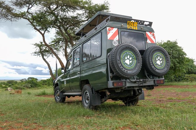 Samburu, Lake Nakuru & Masai Mara 6 Days Private 4x4 Jeep Safari - Day 4 to Maasai Mara: Rift Valley to savannah, plus your first Mara afternoon drive