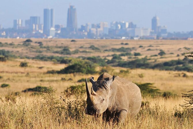 Shared Nairobi National Park Safari Tour - Key highlights you should care about