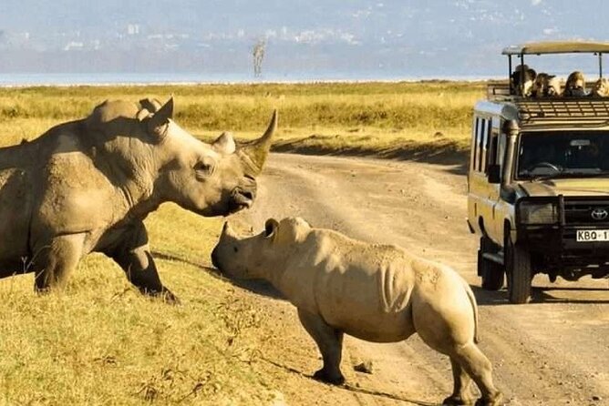 Shared Nairobi National Park Safari Tour - Nairobi National Park, right next door to the city