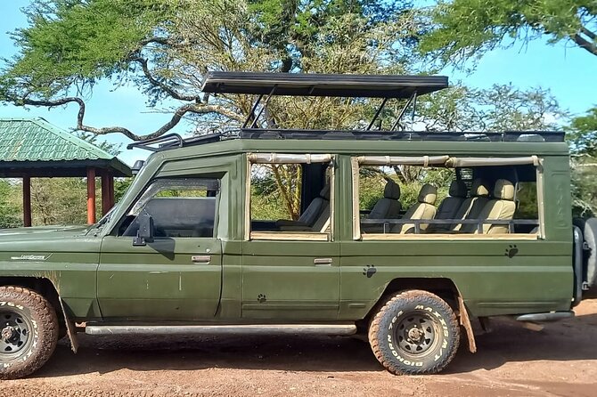 Shared Nairobi National Park Safari Tour - Who should book this shared safari (and who should think twice)