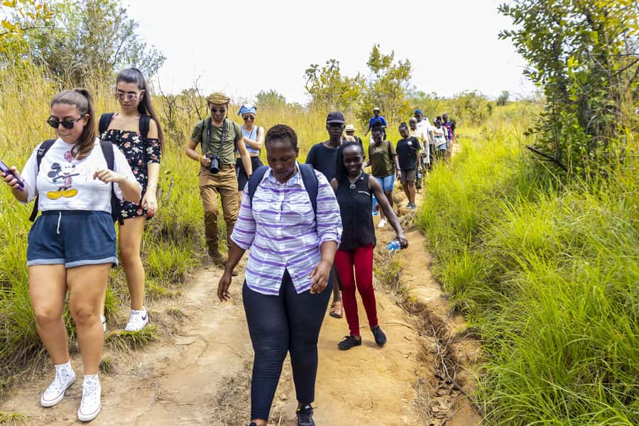 Shimba Hills Day Safari & Sheldrick Falls Hike Private Tour - Quick hits for your checklist