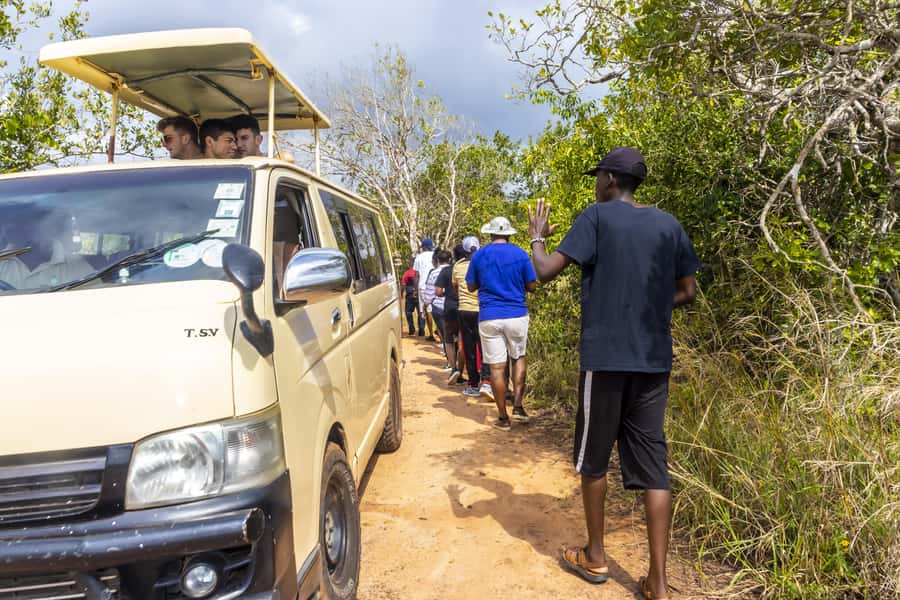 Shimba Hills Day Safari & Sheldrick Falls Hike Private Tour - Price and Value: What You’re Really Paying For at $270