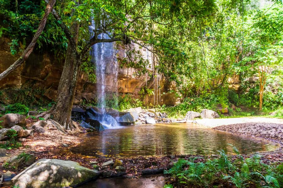 Shimba Hills Day Safari & Sheldrick Falls Hike Private Tour - Shimba Hills Game Drive: Sable Antelope Chances and Birdwatching Wins