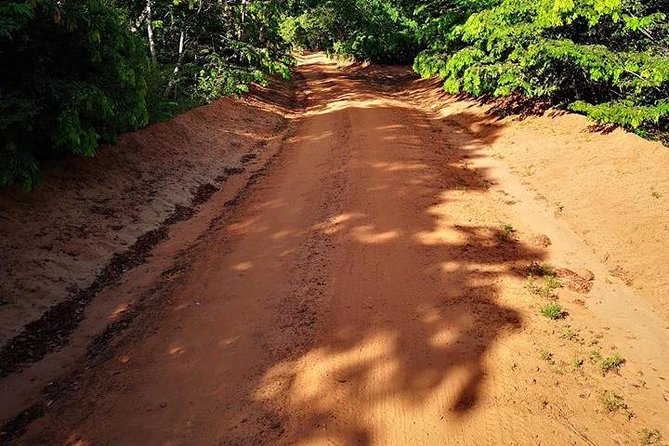 Shimba Hills Excursion - Key highlights at a glance