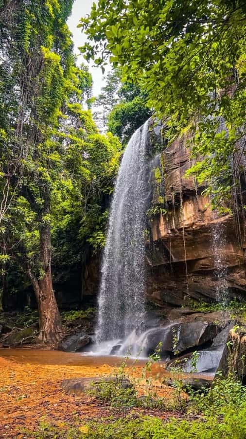 Shimba Hills: Game Drive, Waterfall Hike, and Lunch - From Diani or Mombasa to Shimba Hills, without making it complicated