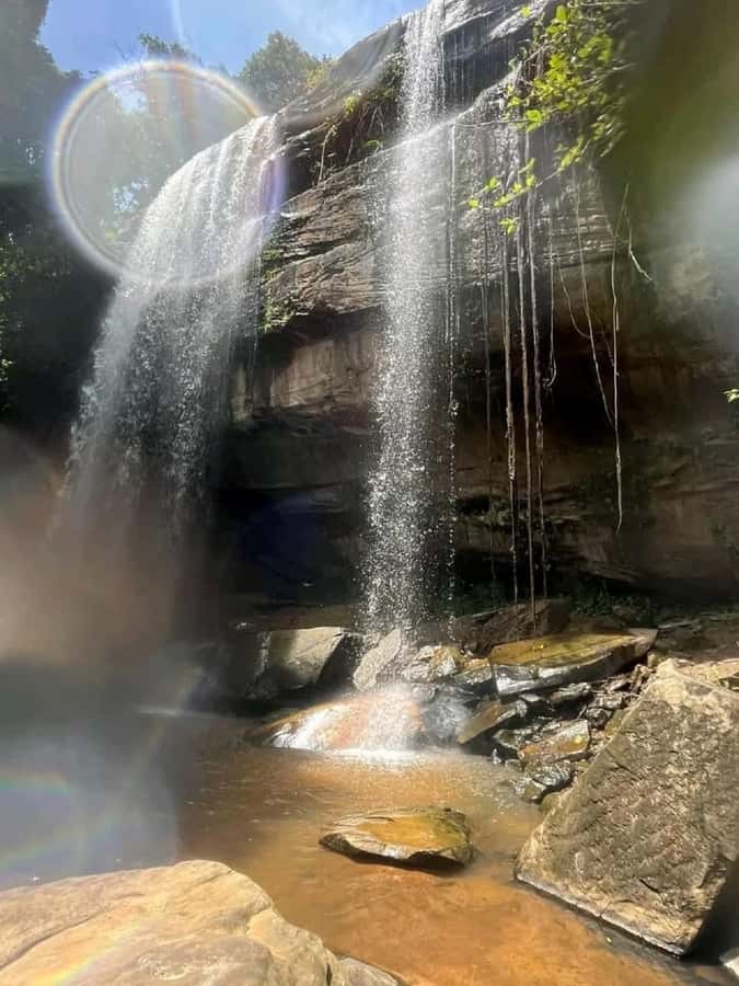 Shimba Hills: Game Drive, Waterfall Hike, and Lunch - Entering the reserve: rangers, tickets, and the start of the hunt