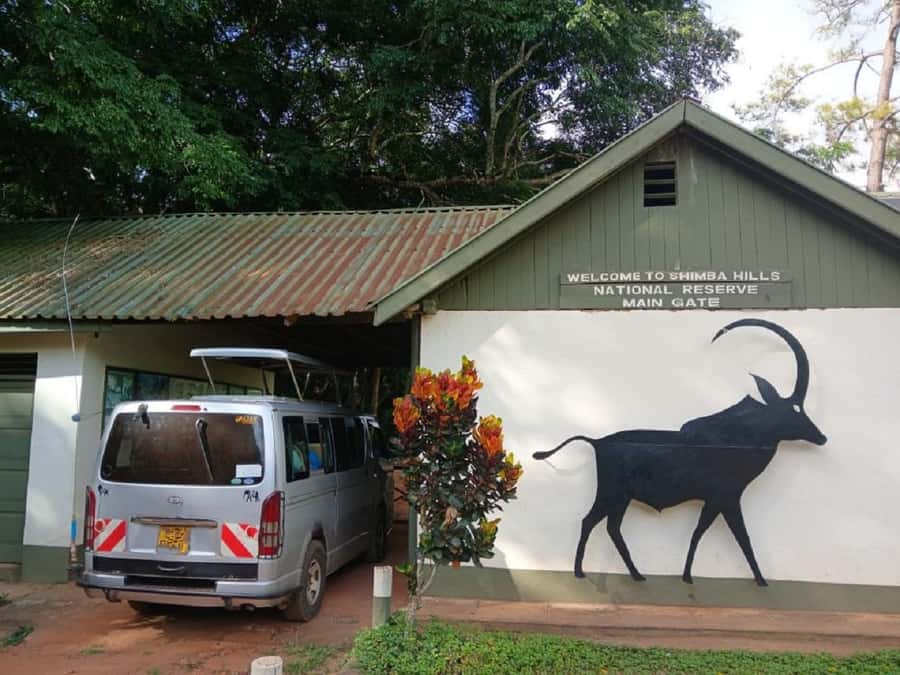 Shimba Hills: Game Drive, Waterfall Hike, and Lunch - Shimba Hills National Reserve game drive: where the odds start turning